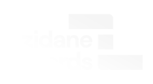 Zidane-records